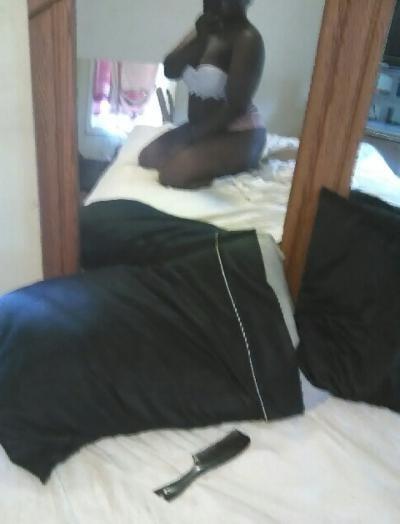 9P 300 lbs DARK chocolate BBW
