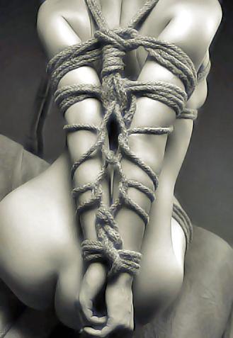 22P I LOVE SHIBARI ROPE BONDAGE