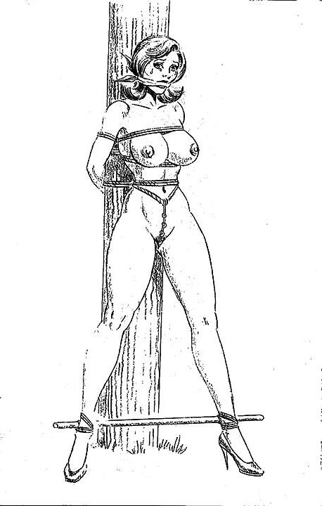 20P Bondage Toons - Vol. 1