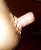 25P Just Nips