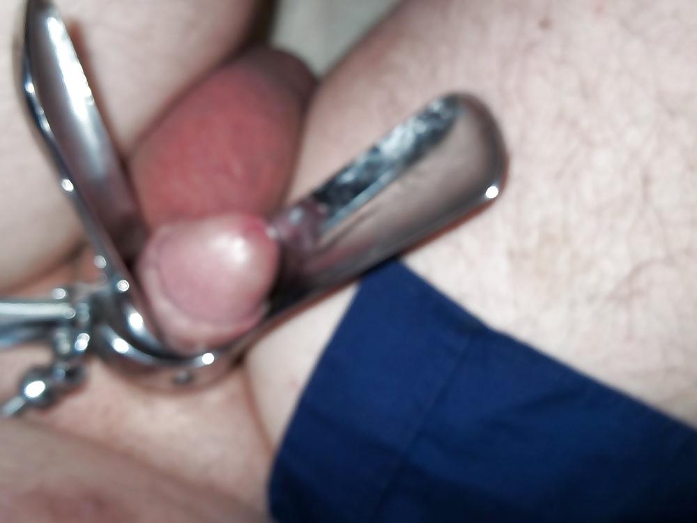 8P Schwanzfolter