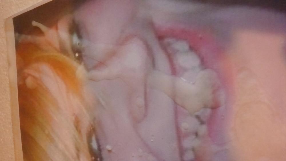 6P Fangtastic22 gets TosserTim's sperm