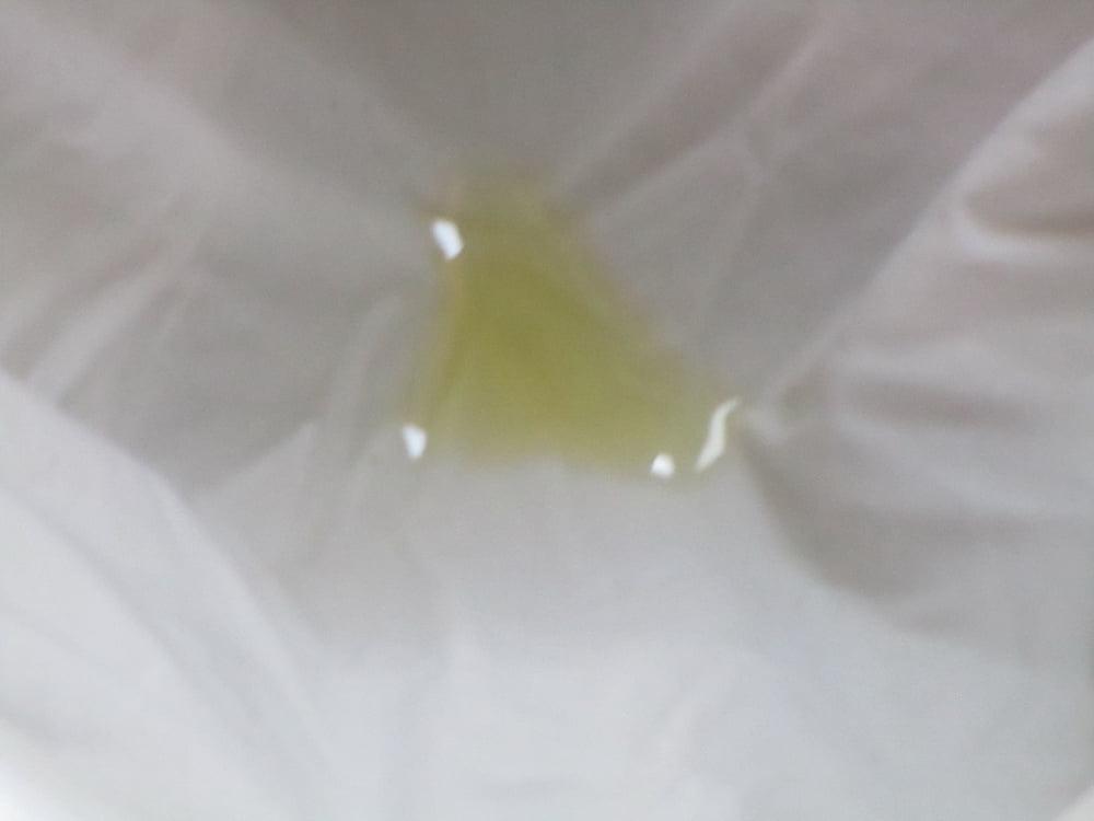 15P white blouse piss 4