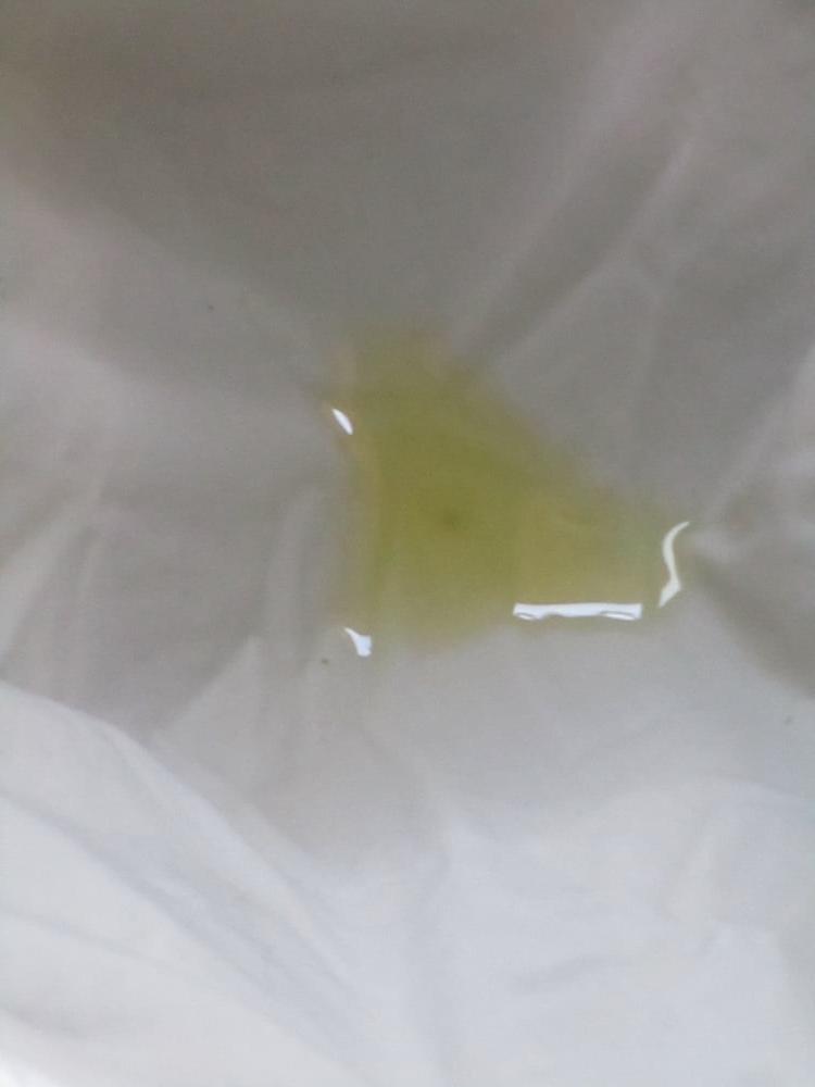 15P white blouse piss 4