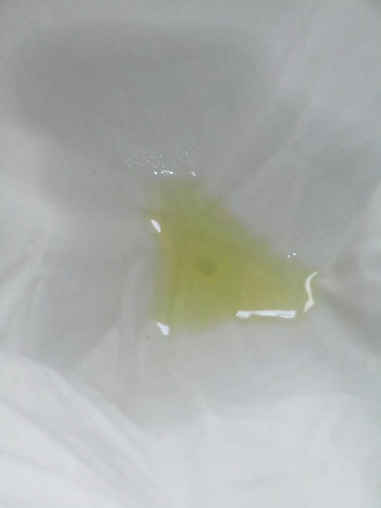 15P white blouse piss 4