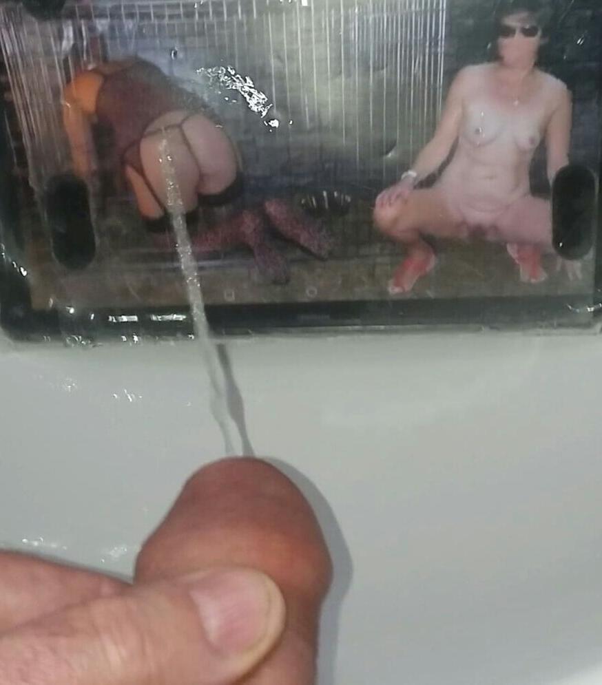 18P Fycusdore and Lionx68 Piss Tribute Photos