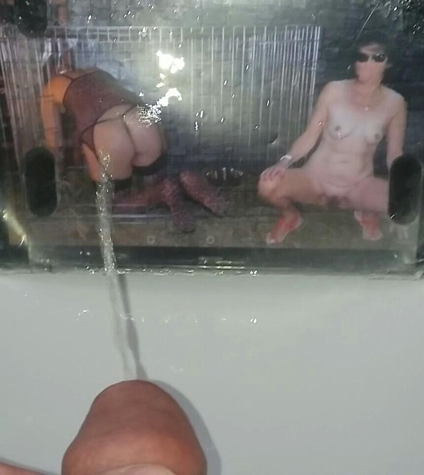 18P Fycusdore and Lionx68 Piss Tribute Photos