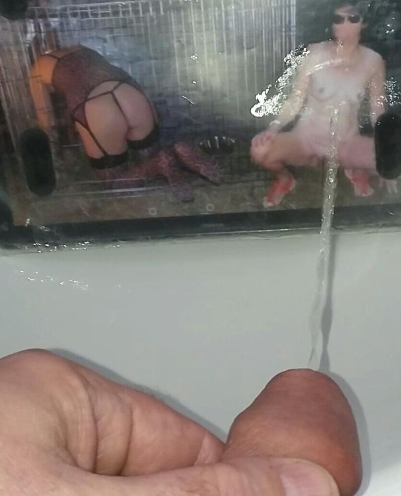 18P Fycusdore and Lionx68 Piss Tribute Photos