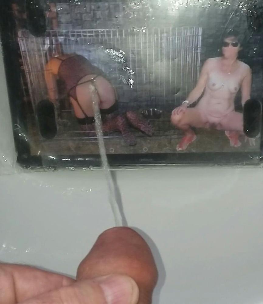 18P Fycusdore and Lionx68 Piss Tribute Photos