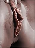 24P Big lip and clit 