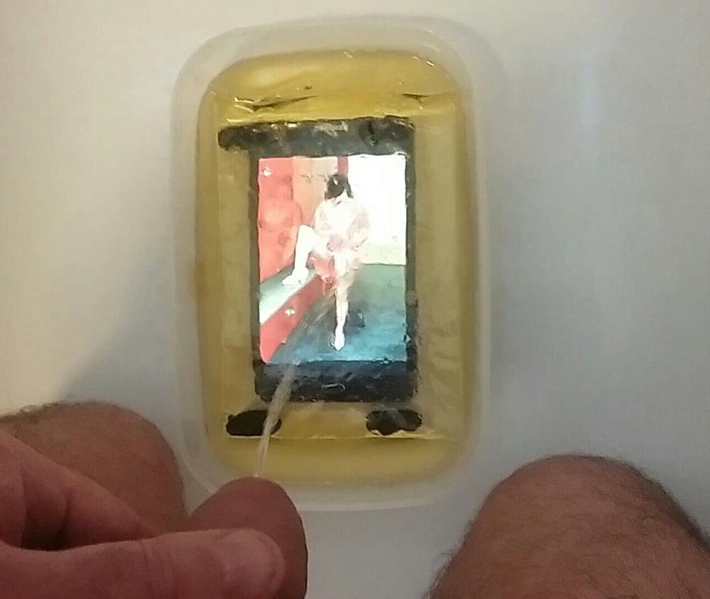 25P Lionx68 piss tribute photos