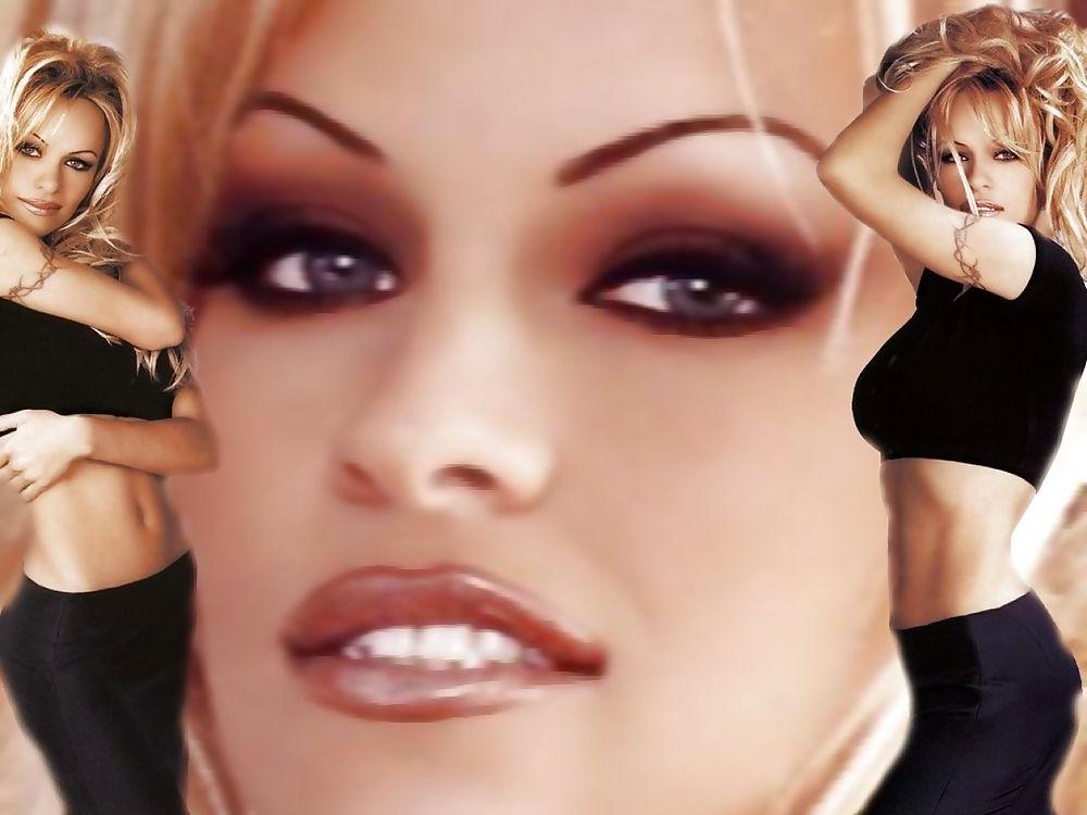 25P Pamela Anderson mega collection 