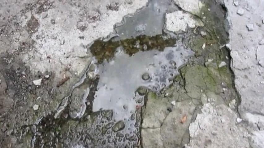 25P L01