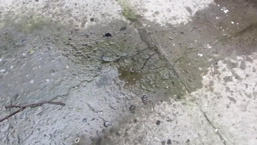 25P L01