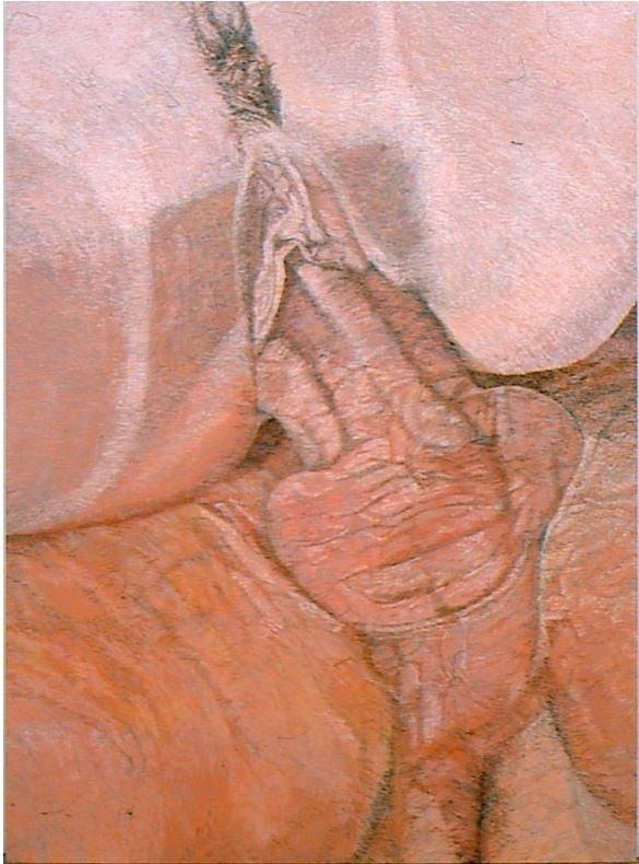 25P Erotic Illustrations 1