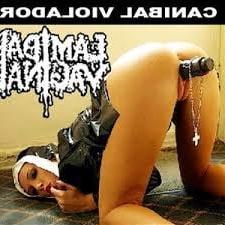 24P The best of nude erotic and porn,  arts of music album 2
