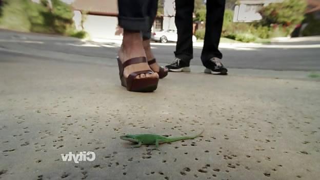 25P Courteney Cox Foot Pics