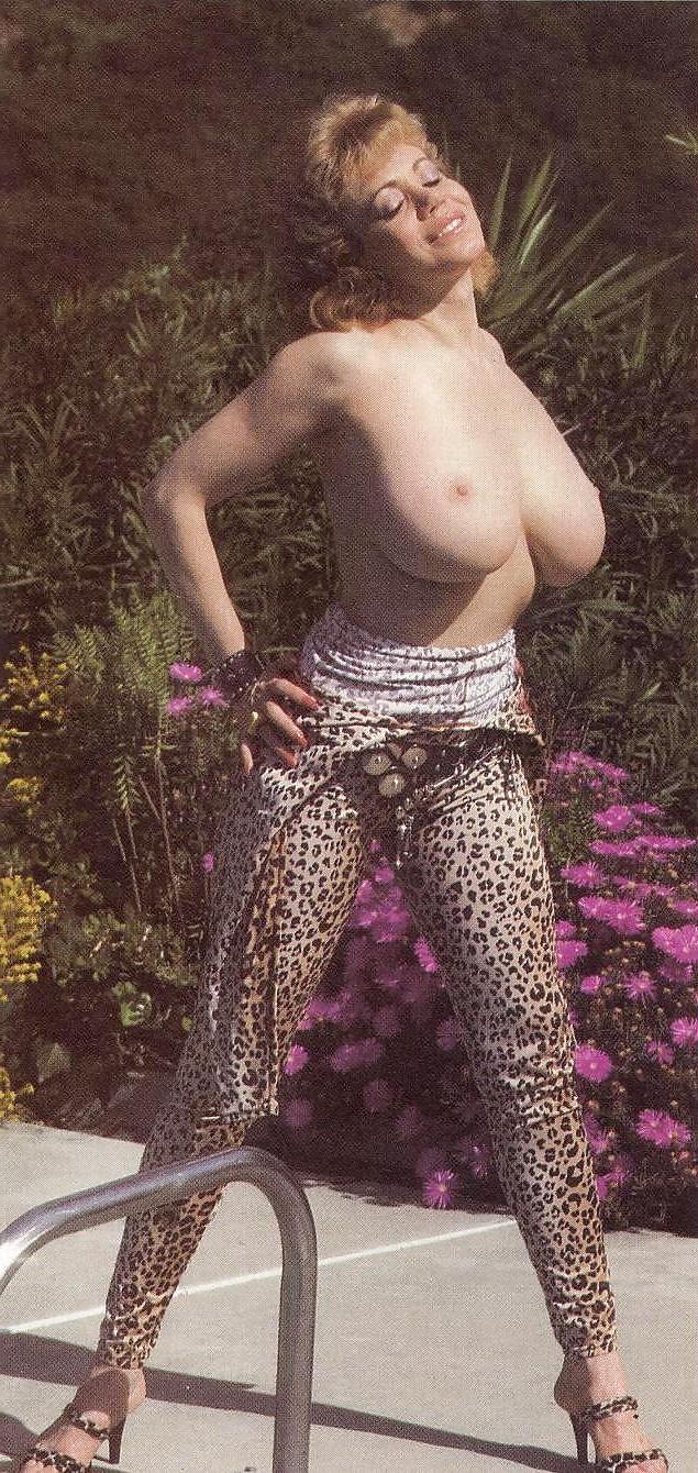 20P Kitten Natividad