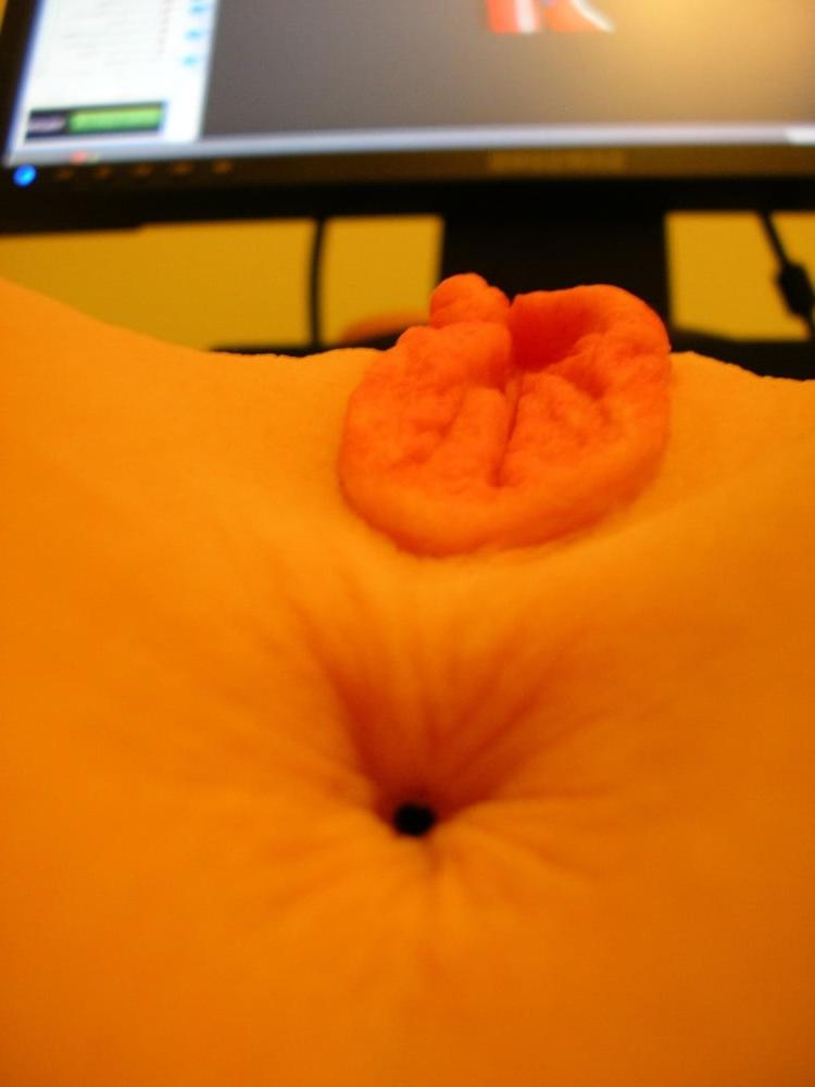 25P Lexa UR3 Pussy &amp; Ass pillow