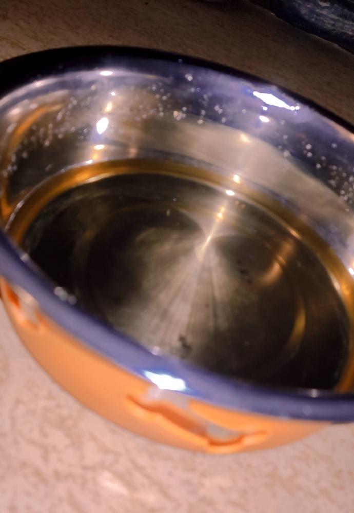 5P puppy drinks his own piss