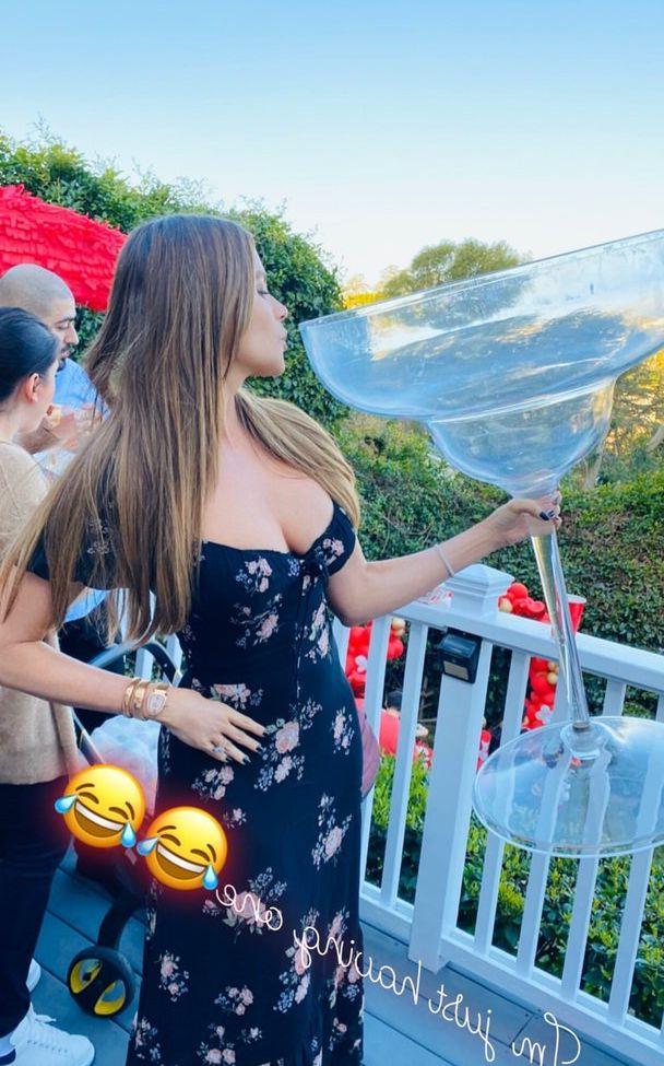 25P Sofia Vergara nackt