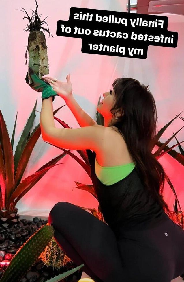 25P Sssniperwolf nude