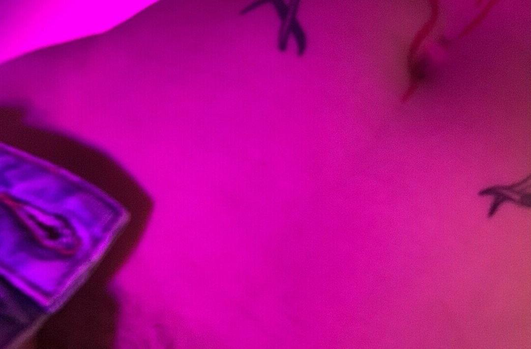 25P Bi0degradavel nude