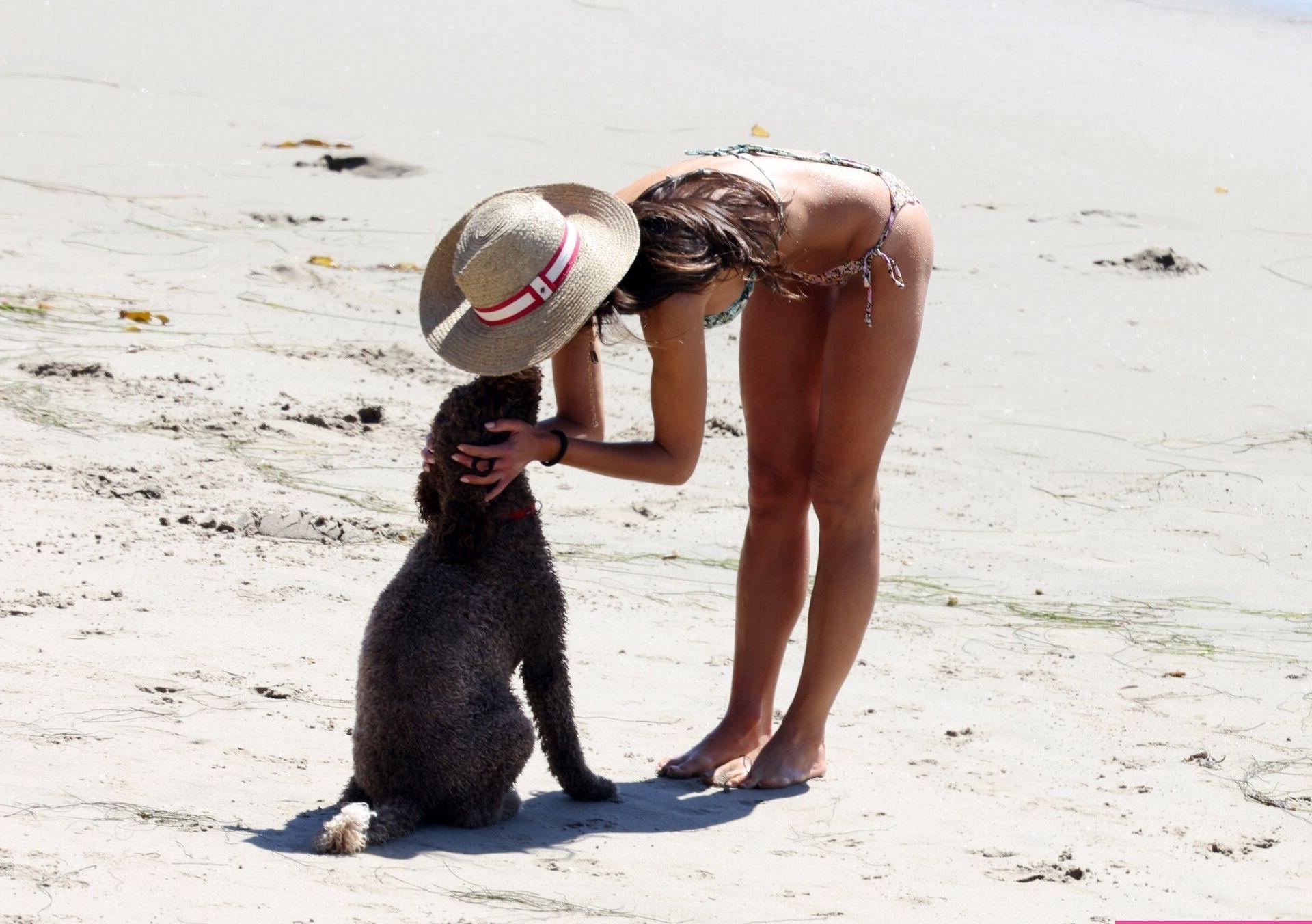 25P Jordana Brewster nude