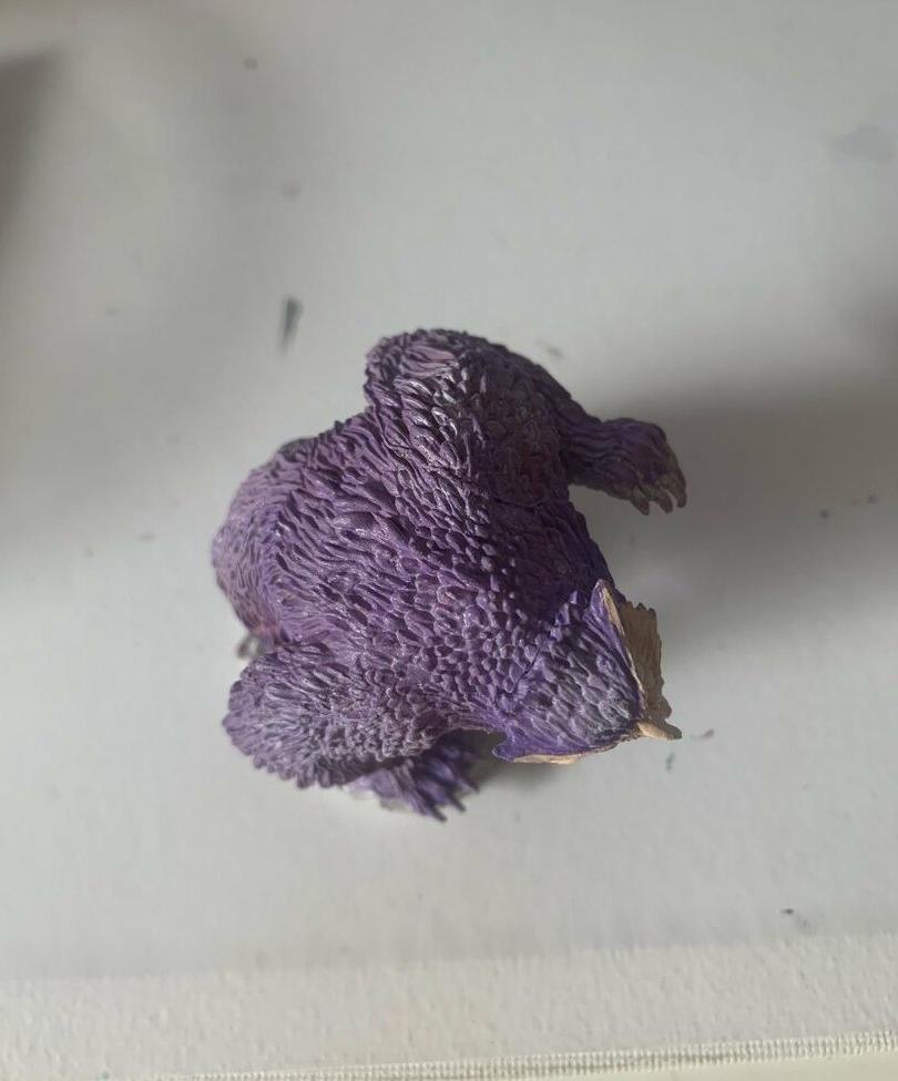 25P Elizabethreed nude