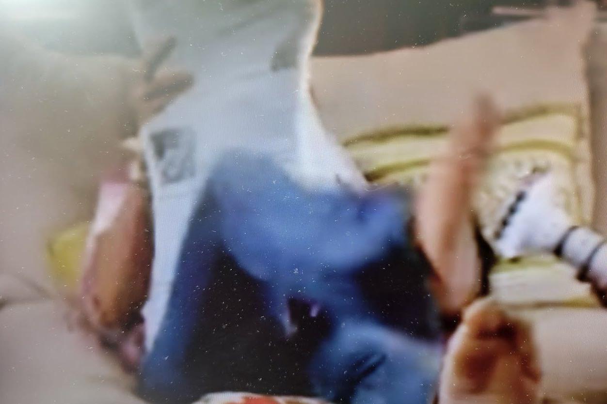 25P Vanessa L. Williams nude