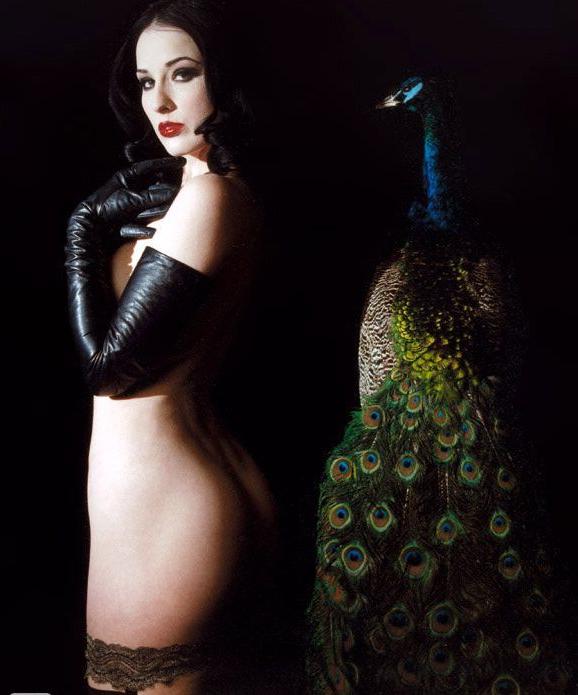 25P Dita Von Teese nude