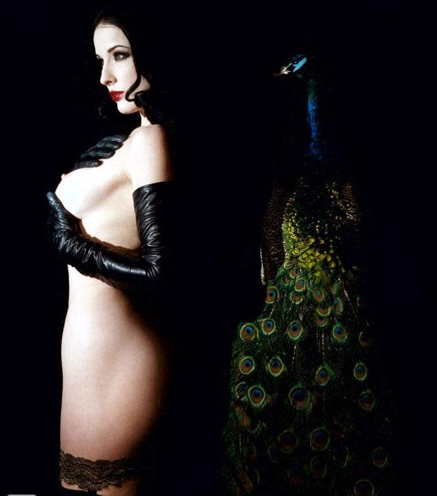 25P Dita Von Teese nude