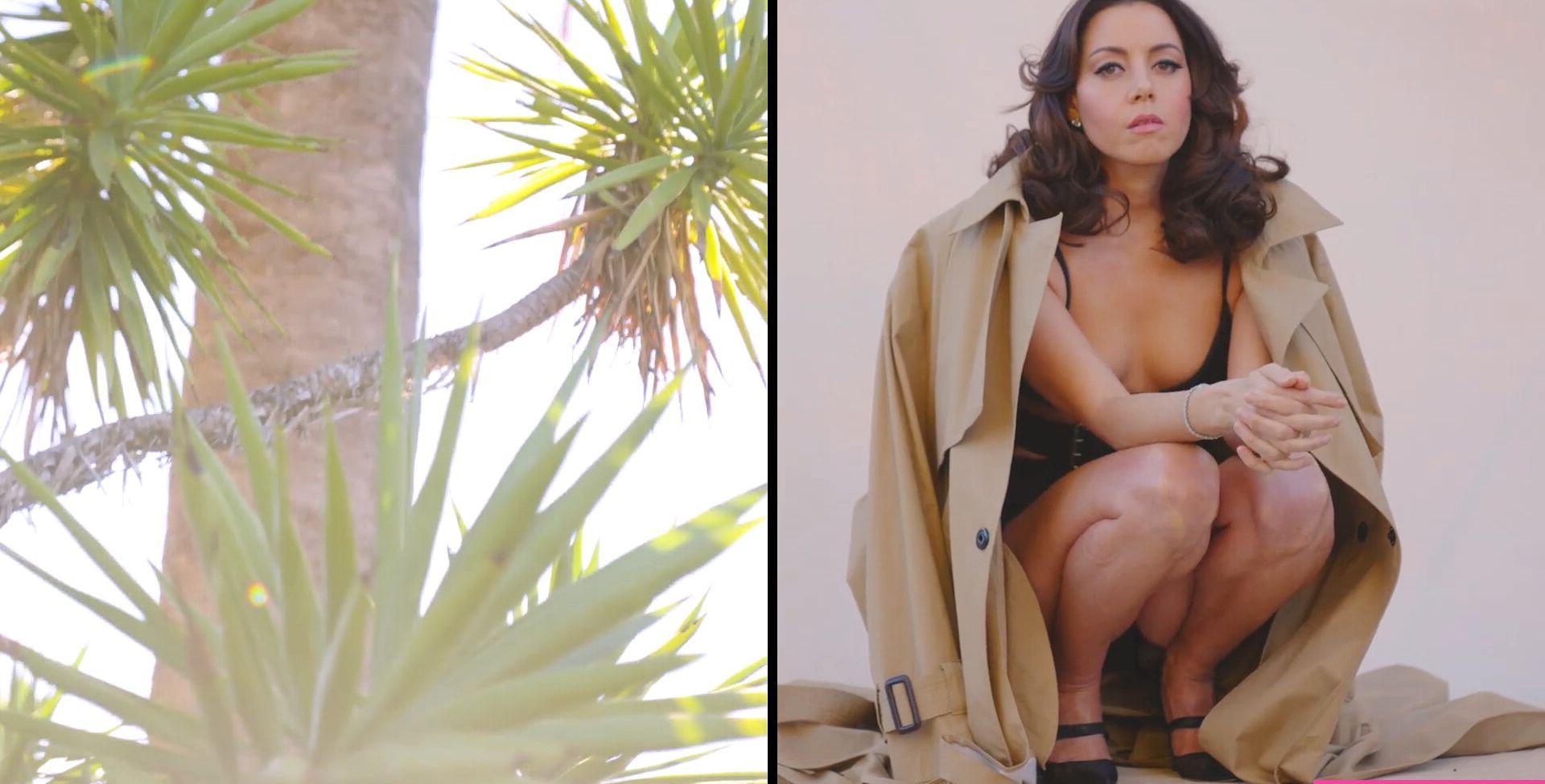 25P Aubrey Plaza nude
