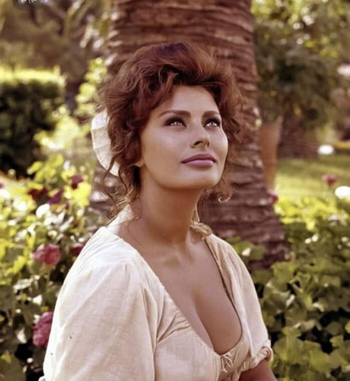 16P Sophia Loren nude