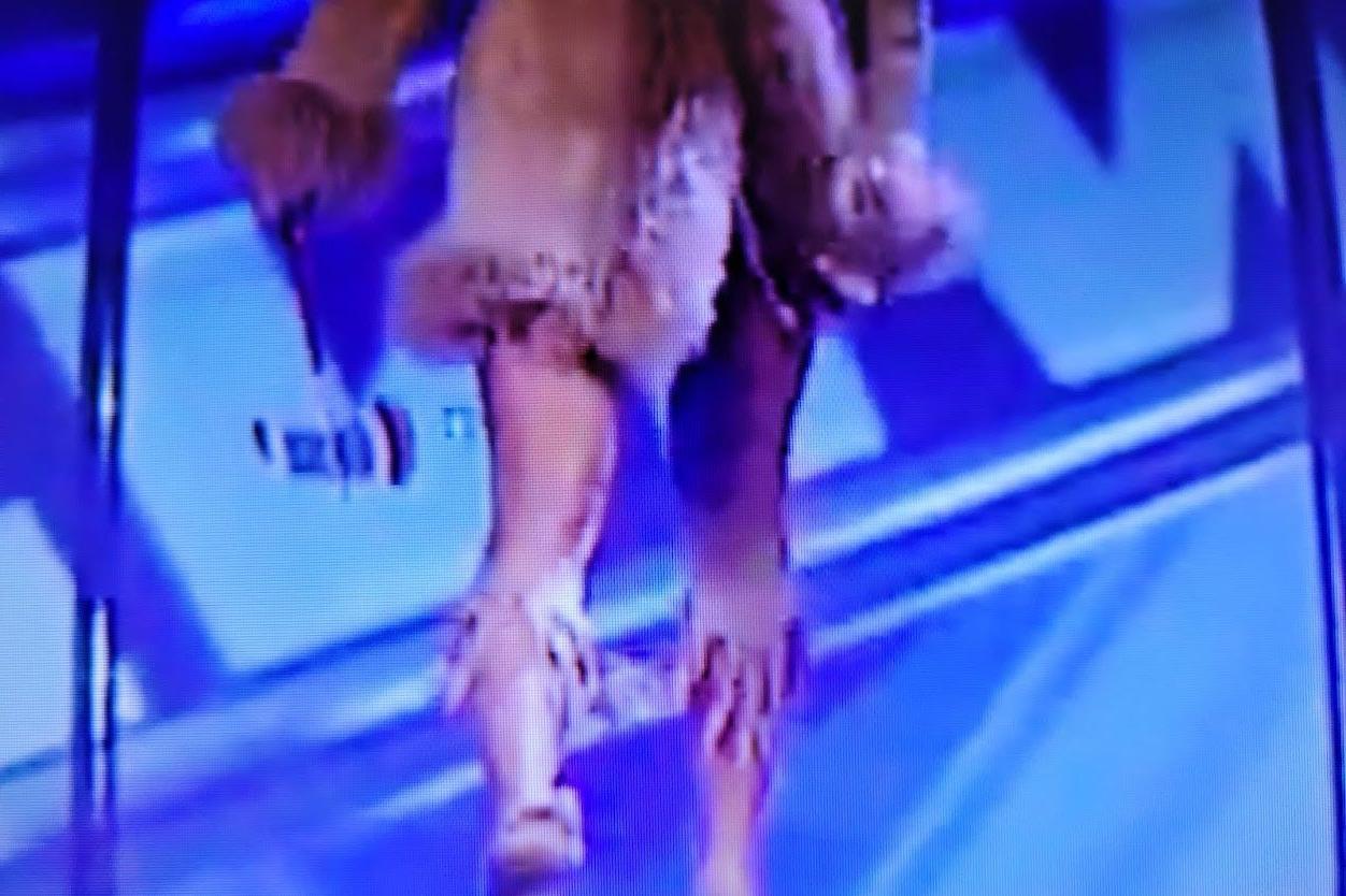 25P Torrie Wilson nude