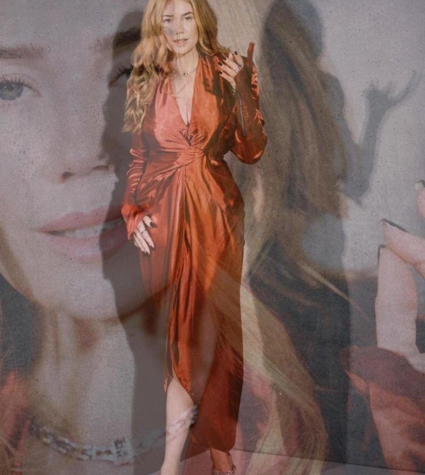 25P Palina Rojinski nude