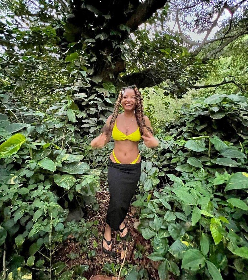25P Halle Bailey nude