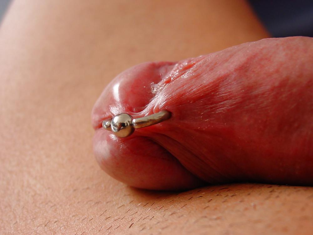 4P Pierced Cock - Princ A. by Bedrik
