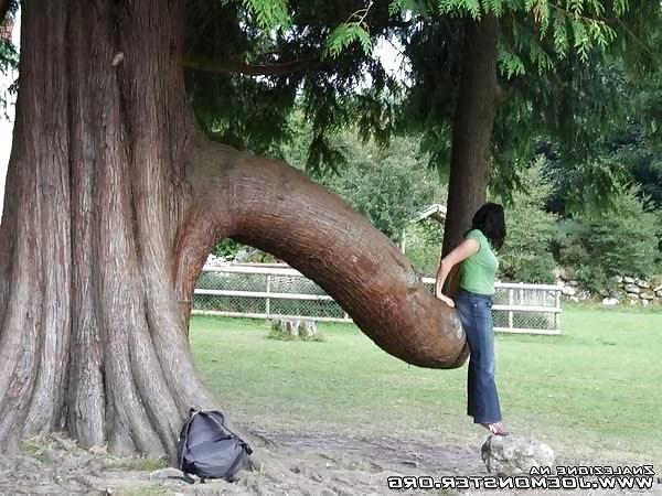 25P Funny pics!