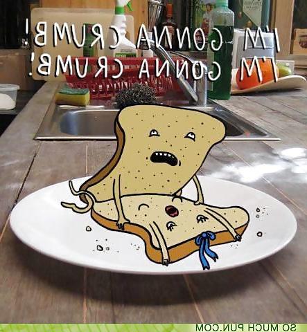 25P Funny pics!