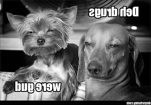 25P Funny pics!