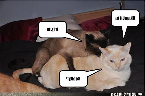 25P Funny pics!