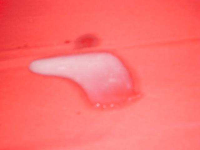 5P Creamed Wife