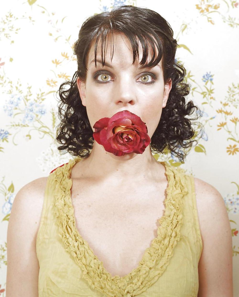 25P Pauley Perrette Ultimate NCIS Collection