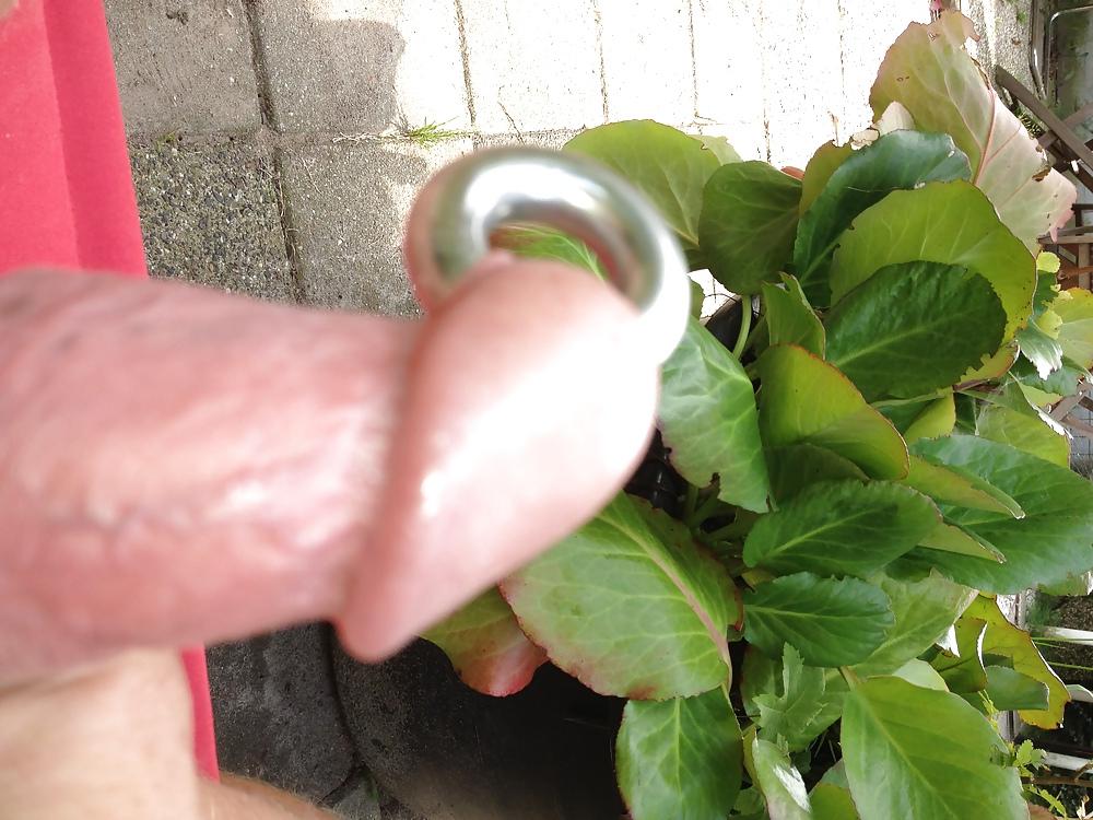 8P Pierced cock