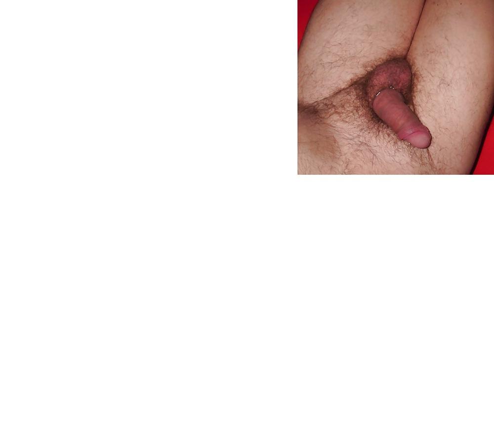 8P Just Schwanz Bilder