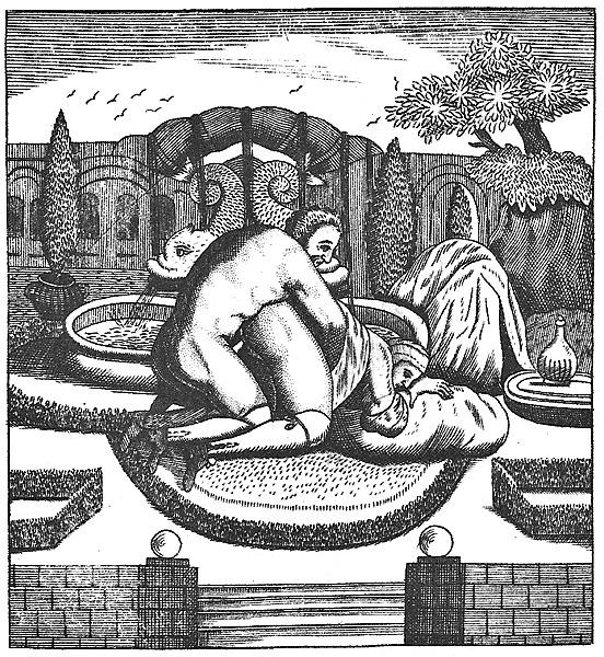 22P Erotic Book Illustrations 1 - The School of Women 