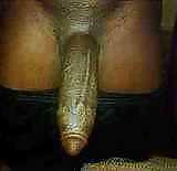 25P Cock