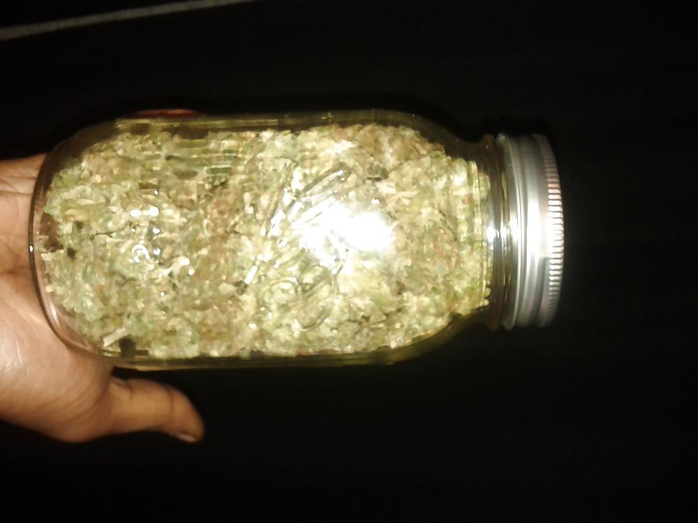 9P This summer in Amsterdam,420