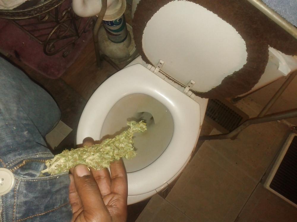 9P This summer in Amsterdam,420
